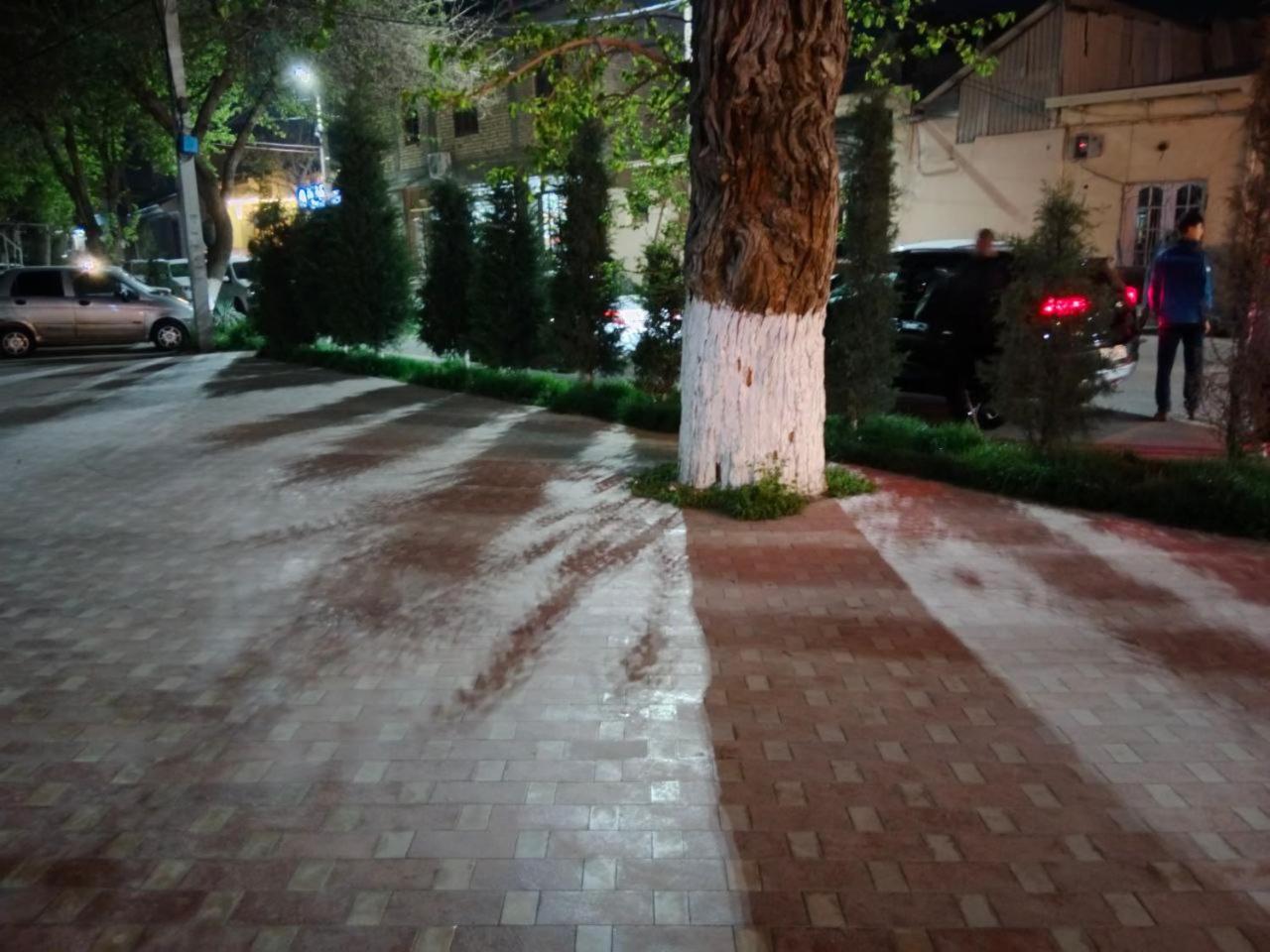 Gulsara Hostel Samarkand Exterior foto